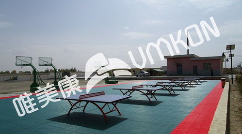 标准乒乓球场场地尺寸与户外运动策划指南